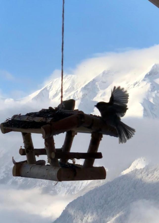 Chalet Lodge Oberig Exclusive Villard-Reculas Ngoại thất bức ảnh